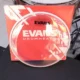 Evans 12 Inch