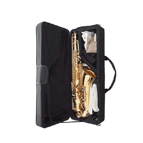 Alto Saxophone 11 Rent an alto saxophone in Nairobi