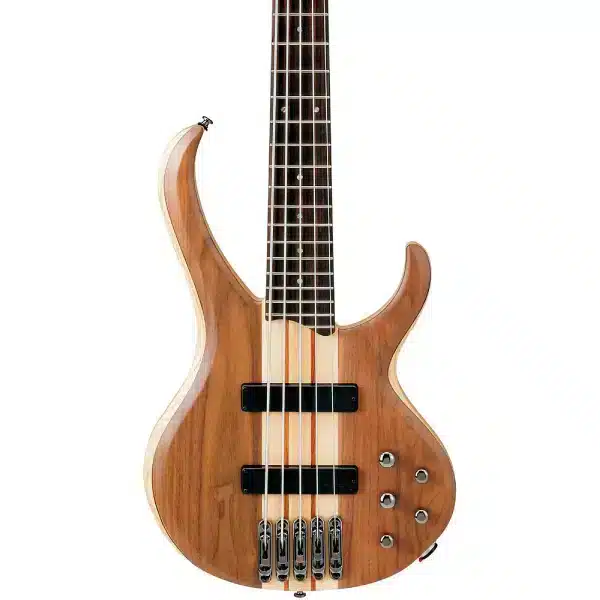 Ibanez 5 string Ibanez 5 string