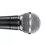 Microphone