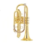 Cornet for sale Nairobi Kenya