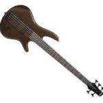 Ibanez 5-string bass for beginners