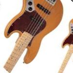 Fender 5 String Bass Body