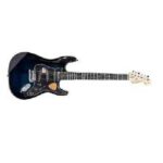Fender 6-string bass pickups