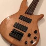 SDGR Bass Guitar Kenya