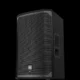 ELECTRO VOICE EKX 112 Speaker