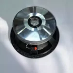 NAKED SPEAKERS