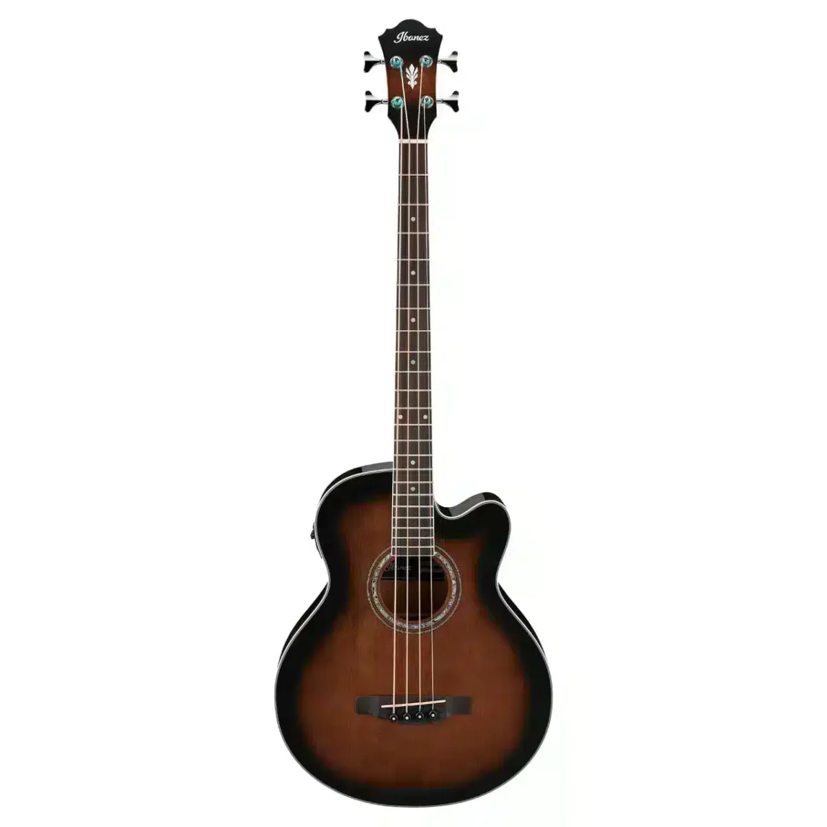 The Ibanez