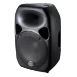 Wharfedale Titan 15 Speaker - Image 4