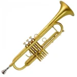 Trumpet Accessories Nairobi