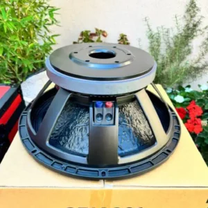 CFI18801 Naked Speaker 1 deep bass speaker
