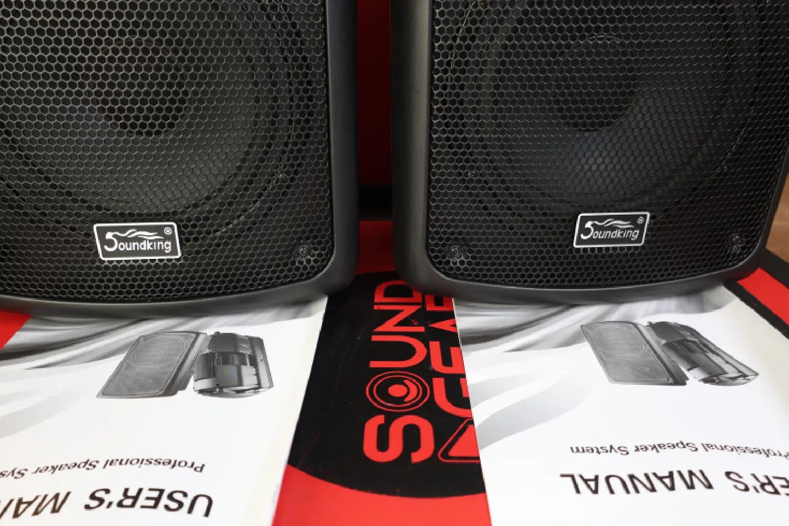 Soundking FP208 Professional Speaker 3 Soundking FP208 for sale