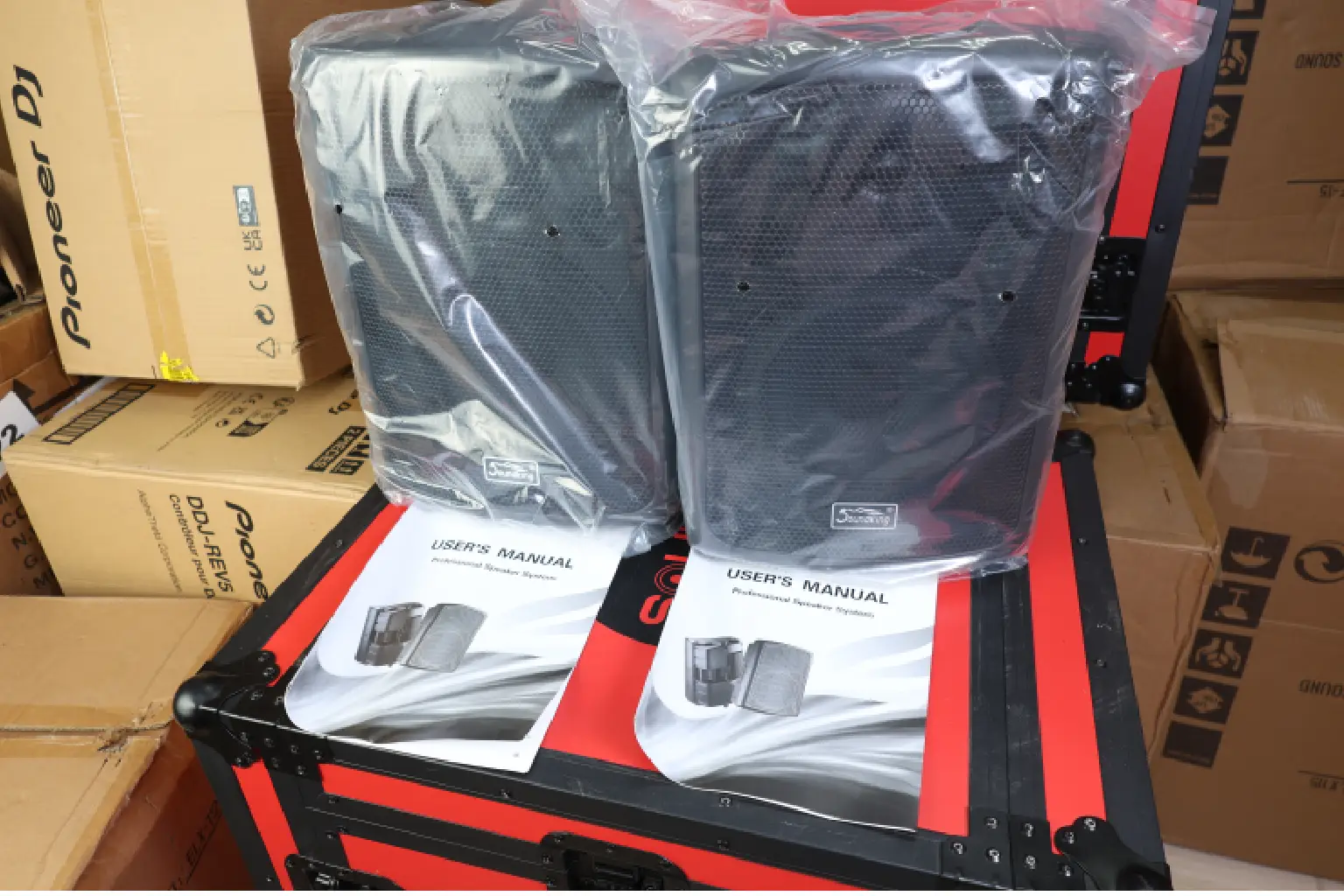 Soundking FP208 Professional Speaker 5 Soundking FP208 setup guide