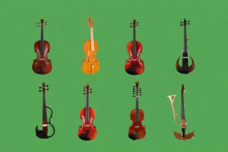 violin instrument