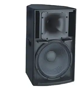 Thunder Sound TH115P 2-Way Full-Range Loudspeaker System - Image 6
