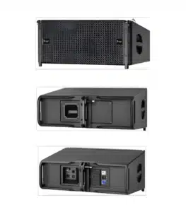 Dual 10-inch Line Array