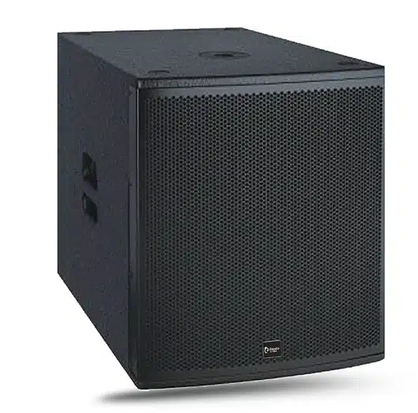 Thunder Sound TH118P Subwoofer