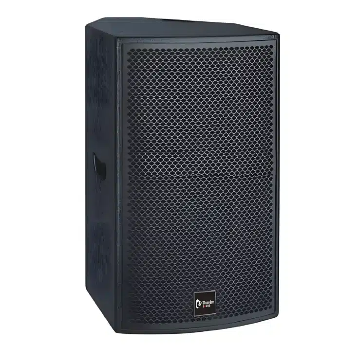 Thunder-Sound-TH110-Passive-Speaker-6-1-700x711 TH110 Passive