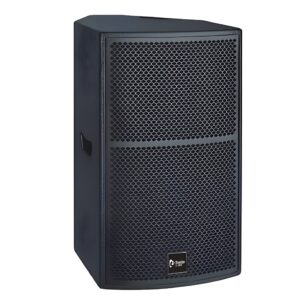Thunder Sound TS1