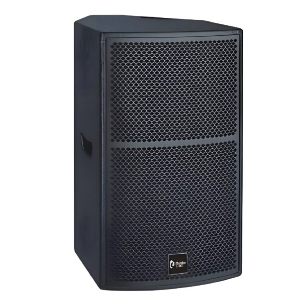 Thunder Sound TS1