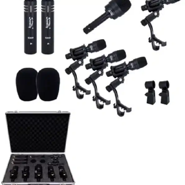 Soundking EF072B Mic