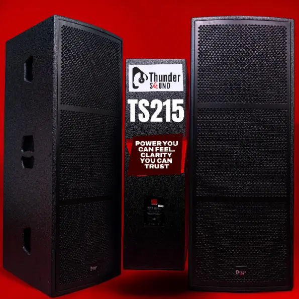 Thunder Sound TS 215