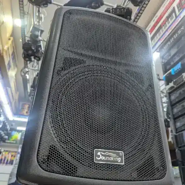 Soundking FP215A