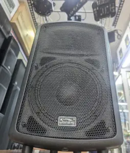 Soundking FP