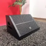 Thunder Sound TS112M