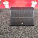500W RMS stage monitor