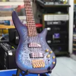 electric bass guitar