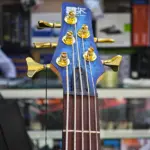 intermediate bass guitar