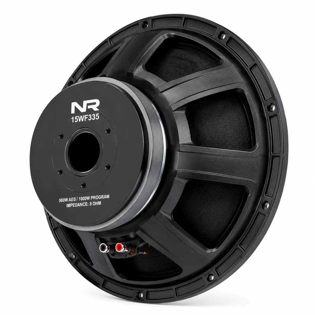 15 Inch Naked Speaker