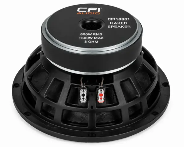 CFI18801 Naked Speaker For Bass