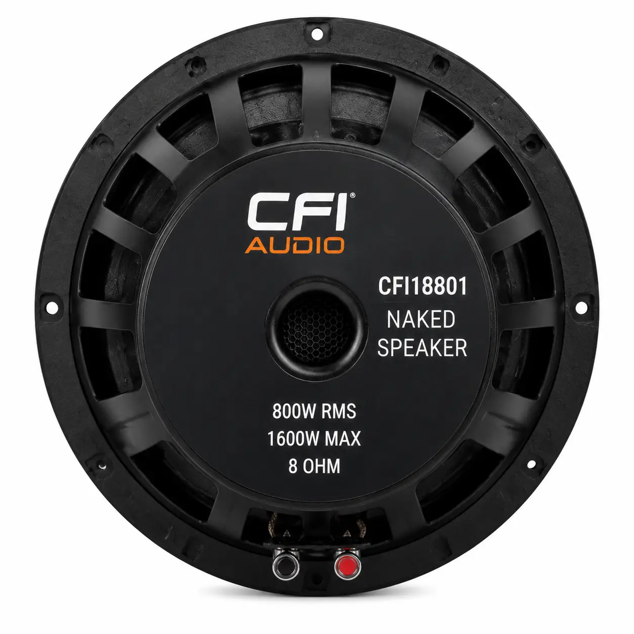 CFI18801 speaker Kenya