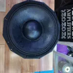 Derwel PD1880H 18-Inch Naked Speaker – 1800W 8 Ohms - Image 3