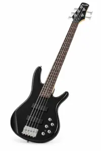 banez GIO Bass 5-String