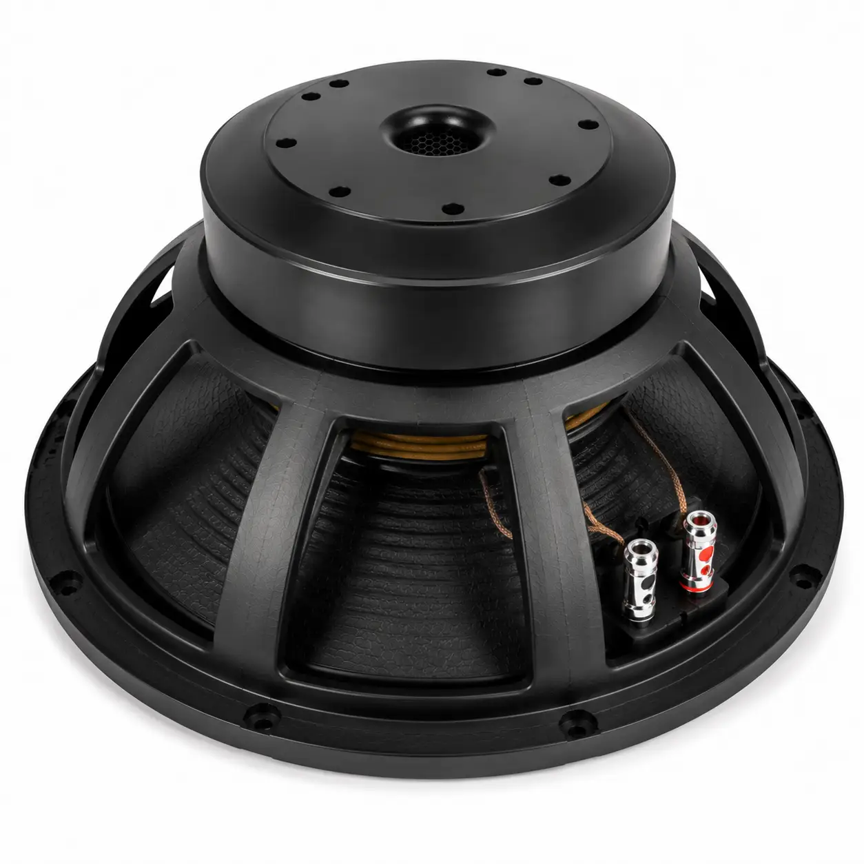 PD18 Naked Bass Speaker