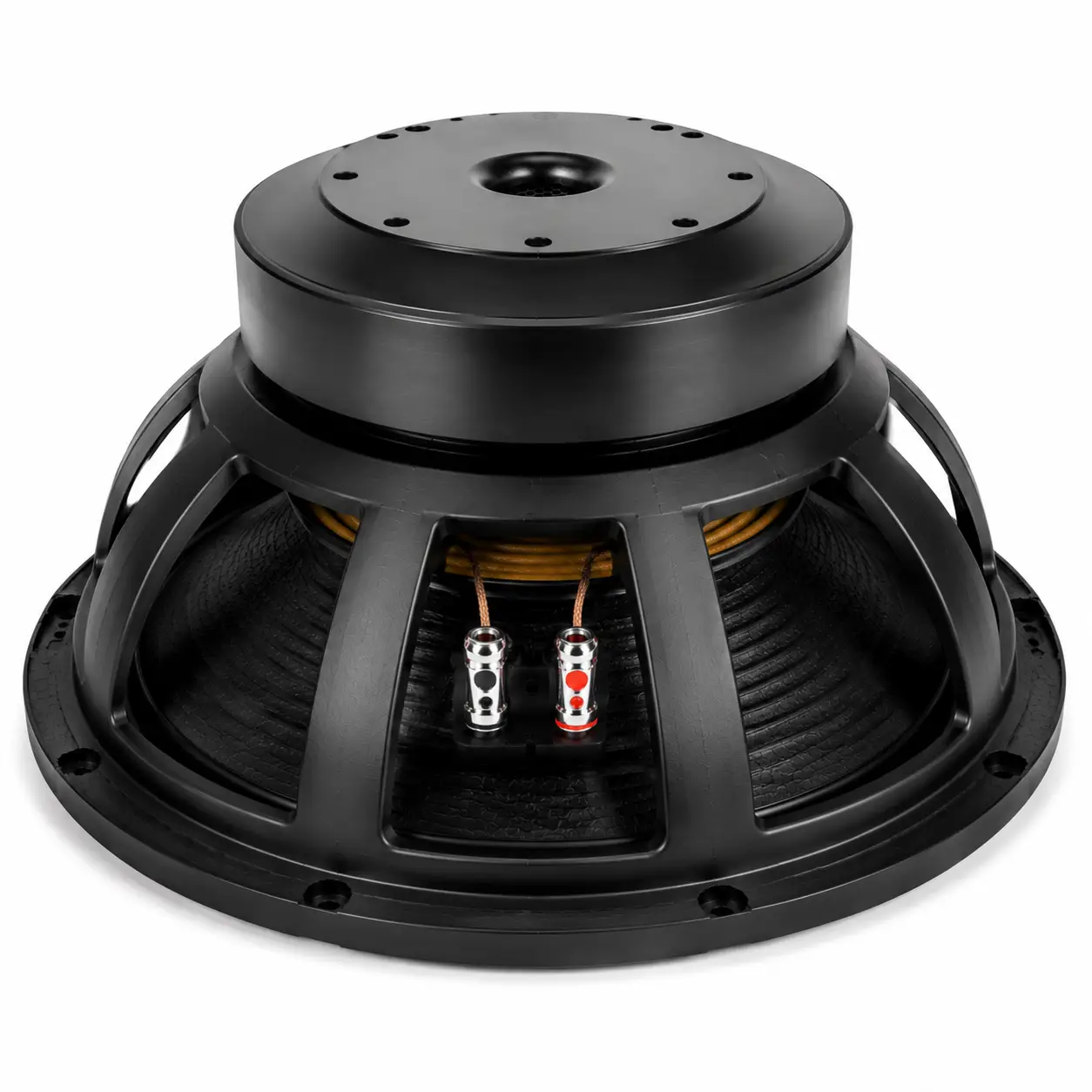 PD18 naked bass speaker