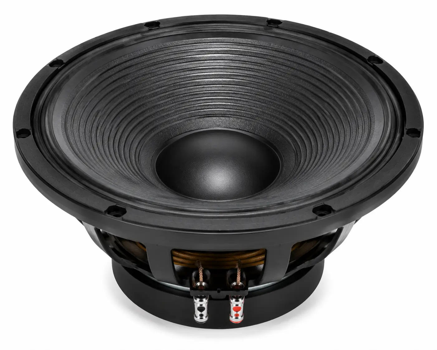PD18 Naked Bass Speaker