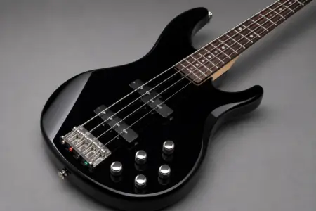 Yamaha TRBX174