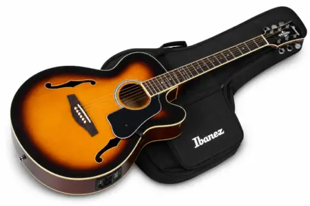 Ibanez 41-Inch