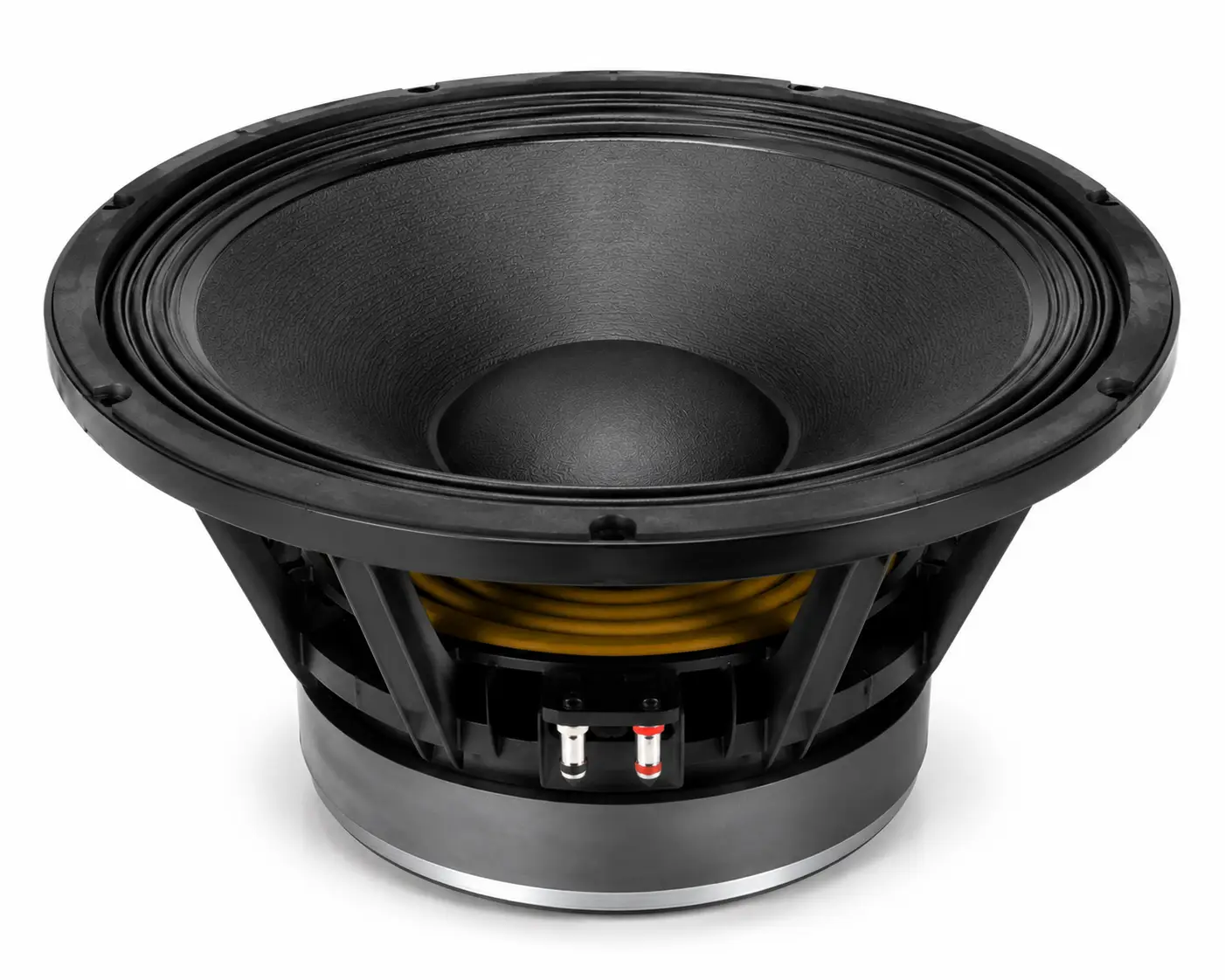 The PD 1890 Speaker