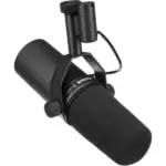 voice over microphone.