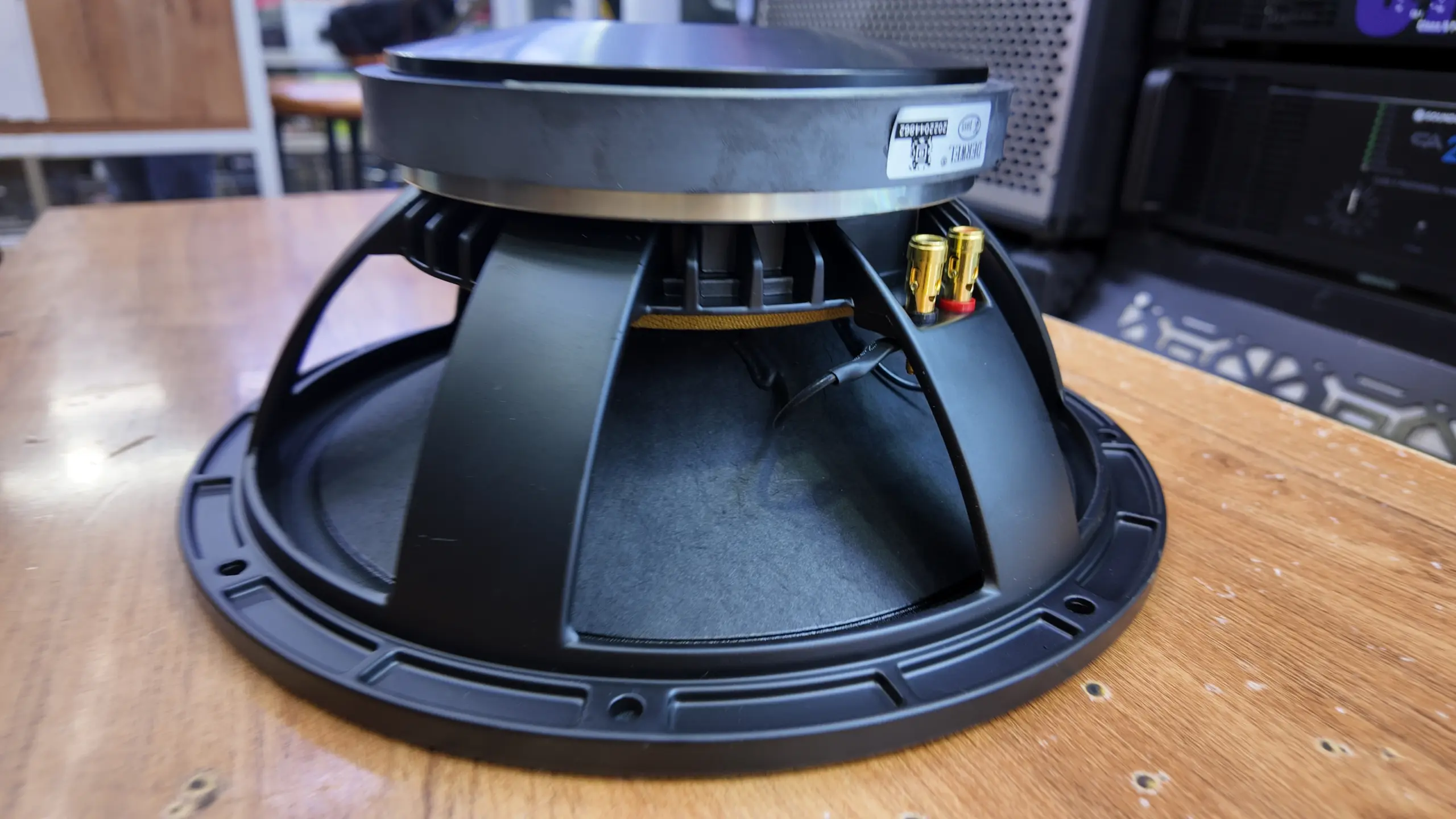 Derwel 12AH975 Speaker Kenya – 12-Inch 600W Driver for Sound System Repairs 11 12 inch loudspeaker Kenya