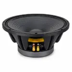15 inch naked speaker