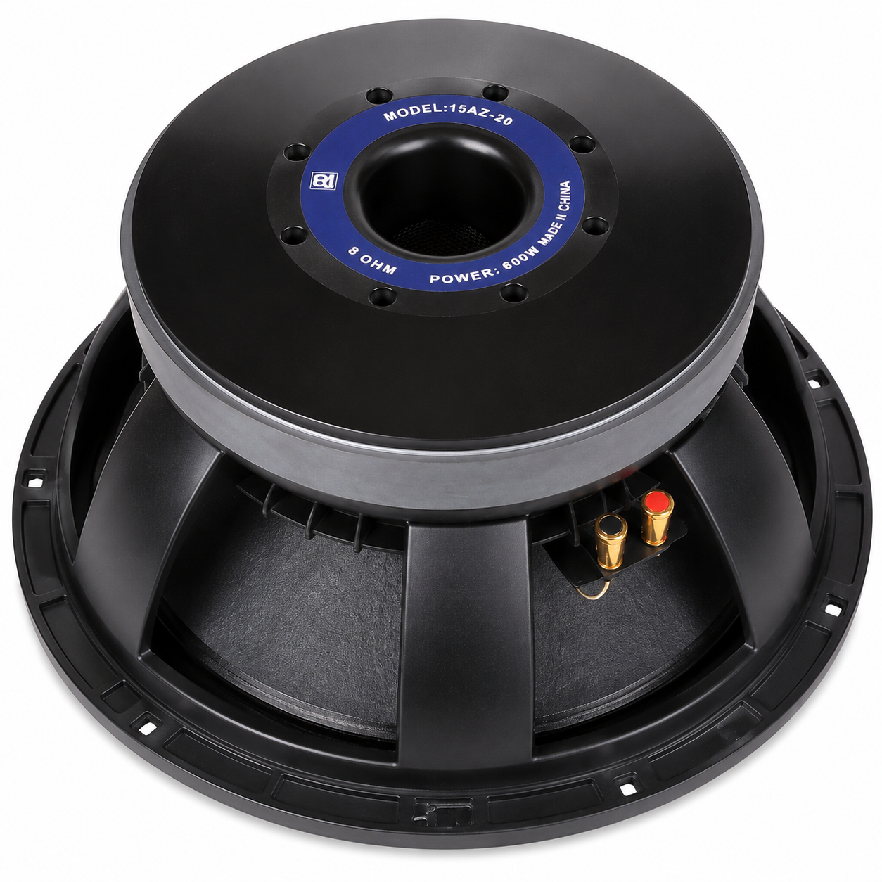 15 Inch Naked Speaker Kenya