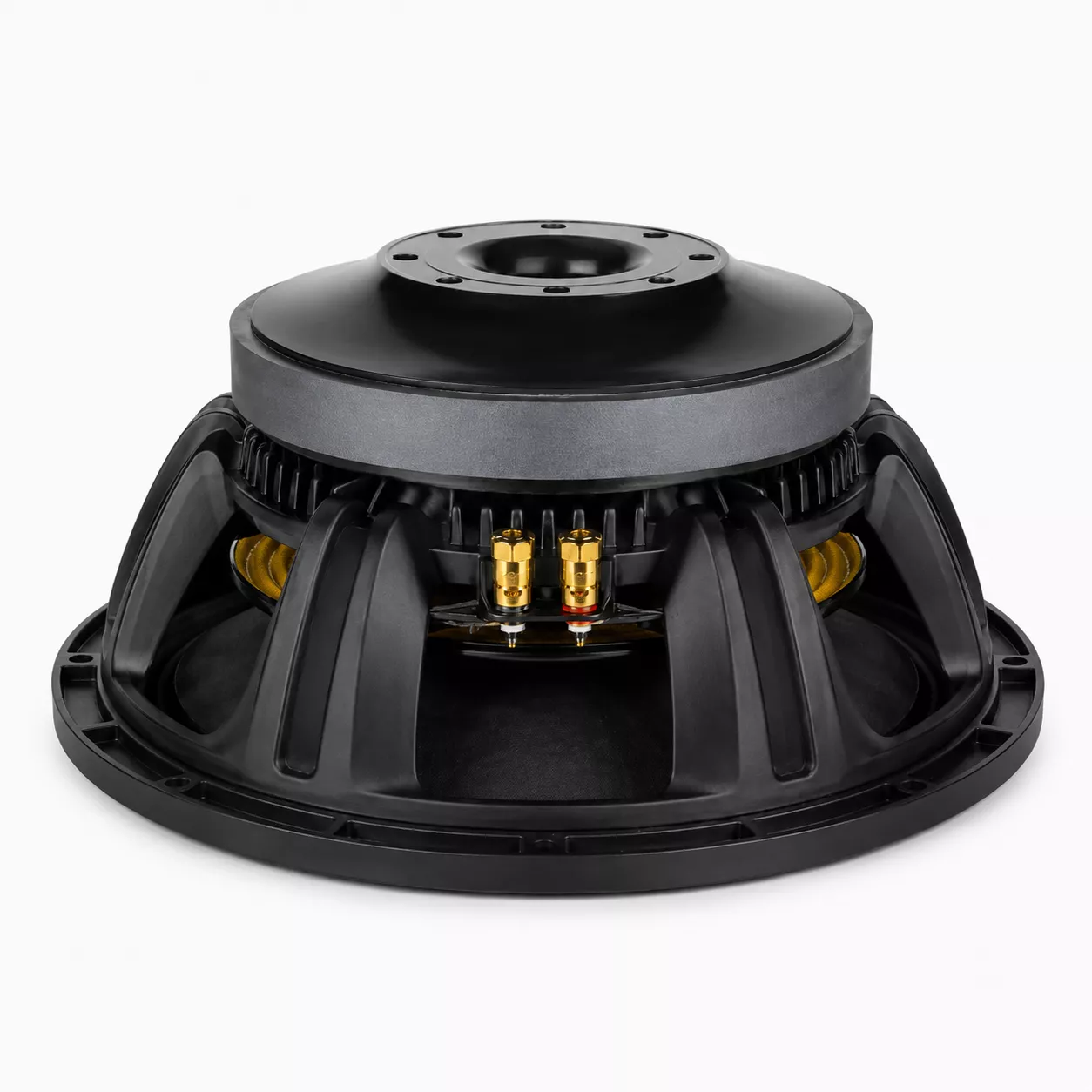 New Retone 15WF535 15-Inch Naked Speaker: Improving PA Sound with the Right Replacement Driver 21 15 inch speaker driver Kenya