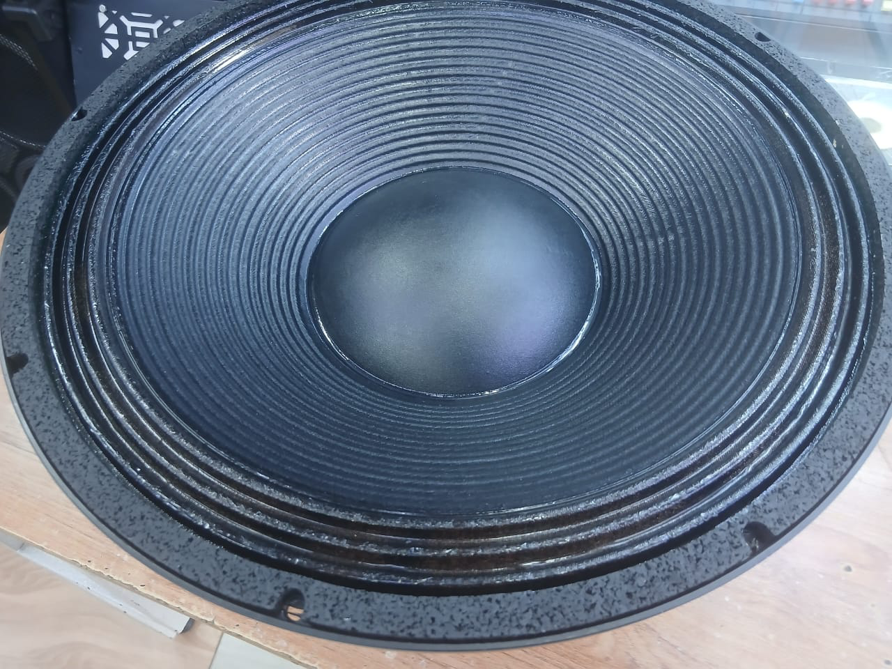 18SW125 Bass Driver Kenya – Strong Low Frequency Driver 10 18SW125 bass driver Kenya