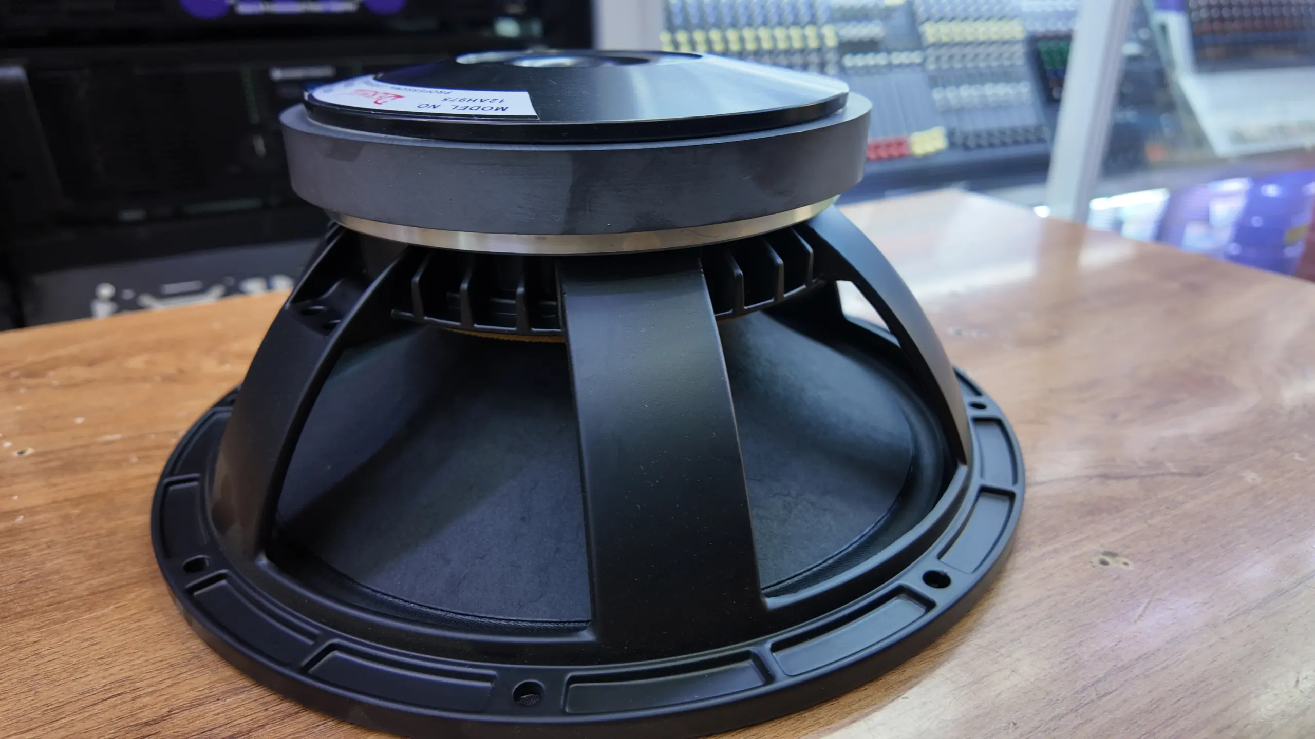 Derwel 12AH975 Speaker Kenya – 12-Inch 600W Driver for Sound System Repairs 13 8 ohm speaker Kenya
